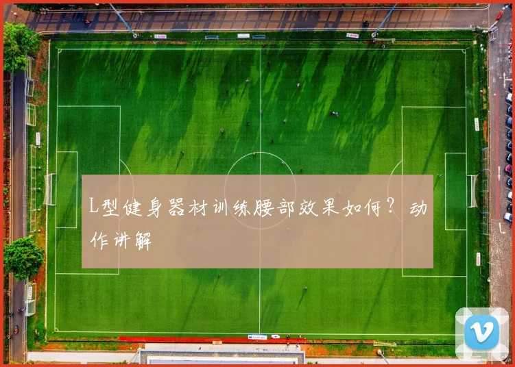 L型健身器材训练腰部效果如何？动作讲解