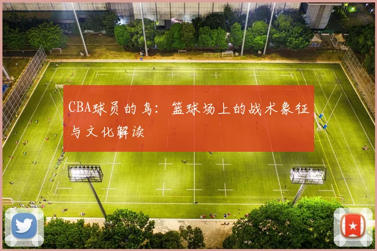 CBA球员的鸟：篮球场上的战术象征与文化解读