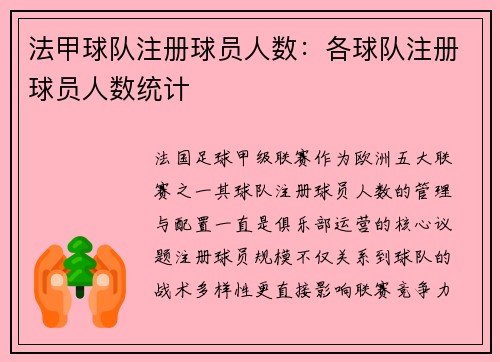 法甲球队注册球员人数：各球队注册球员人数统计